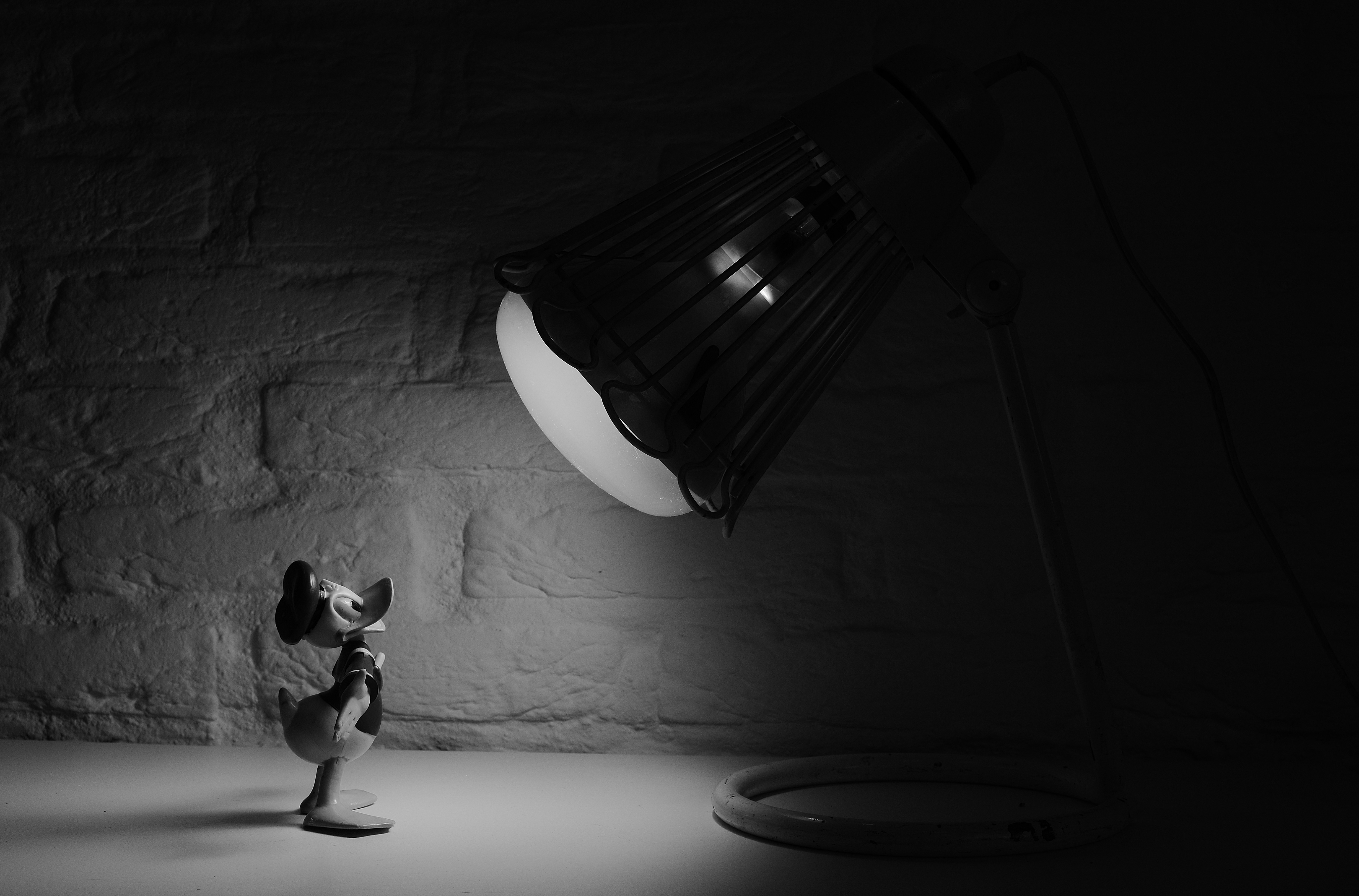 spotlight donald-duck